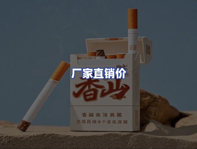 专业团队